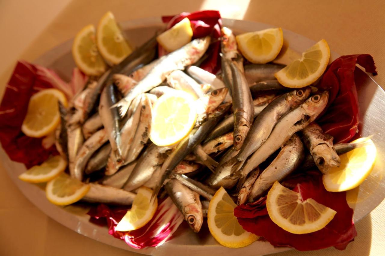 רימיני Hotel Alfa Anche In All Inclusive מראה חיצוני תמונה